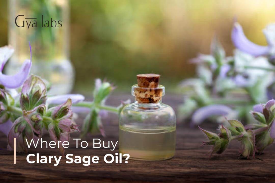 Where To Buy Natural & Organic Clary Sage Essential Oil For Aromatherapy? | GyaLabs