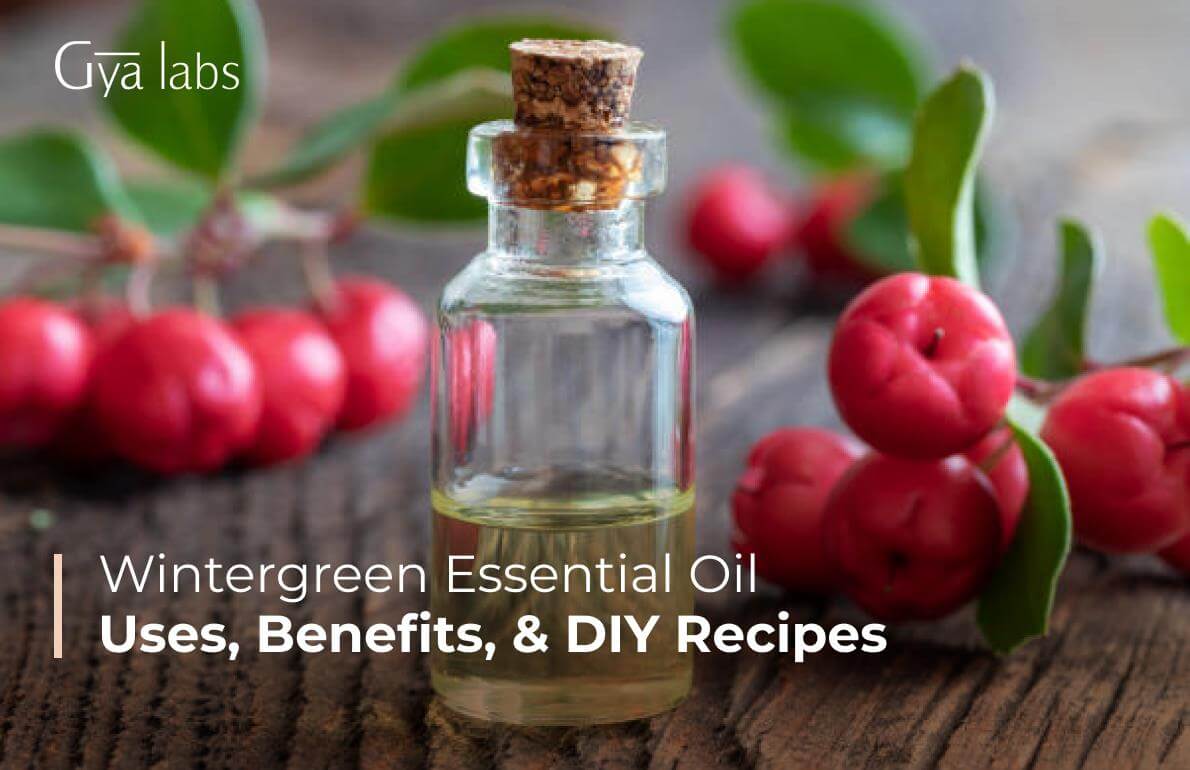 Wintergreen Essential Oil: Uses, Benefits, & DIY Recipes | GyaLabs