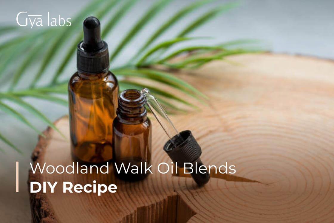 The Best Woodland Walk Essential Oil Blend Recipes & DIY