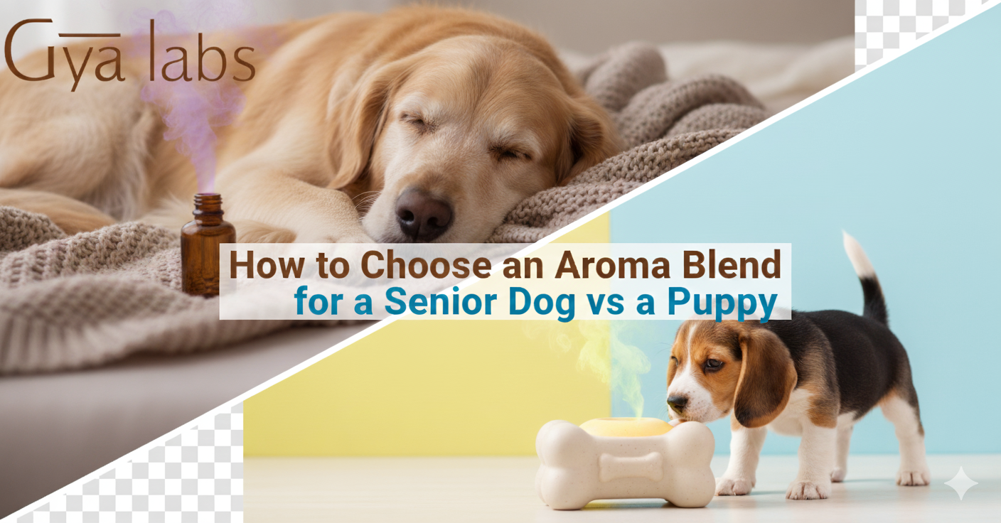 How to Choose an Aroma Blend for a Senior Dog vs a Puppy