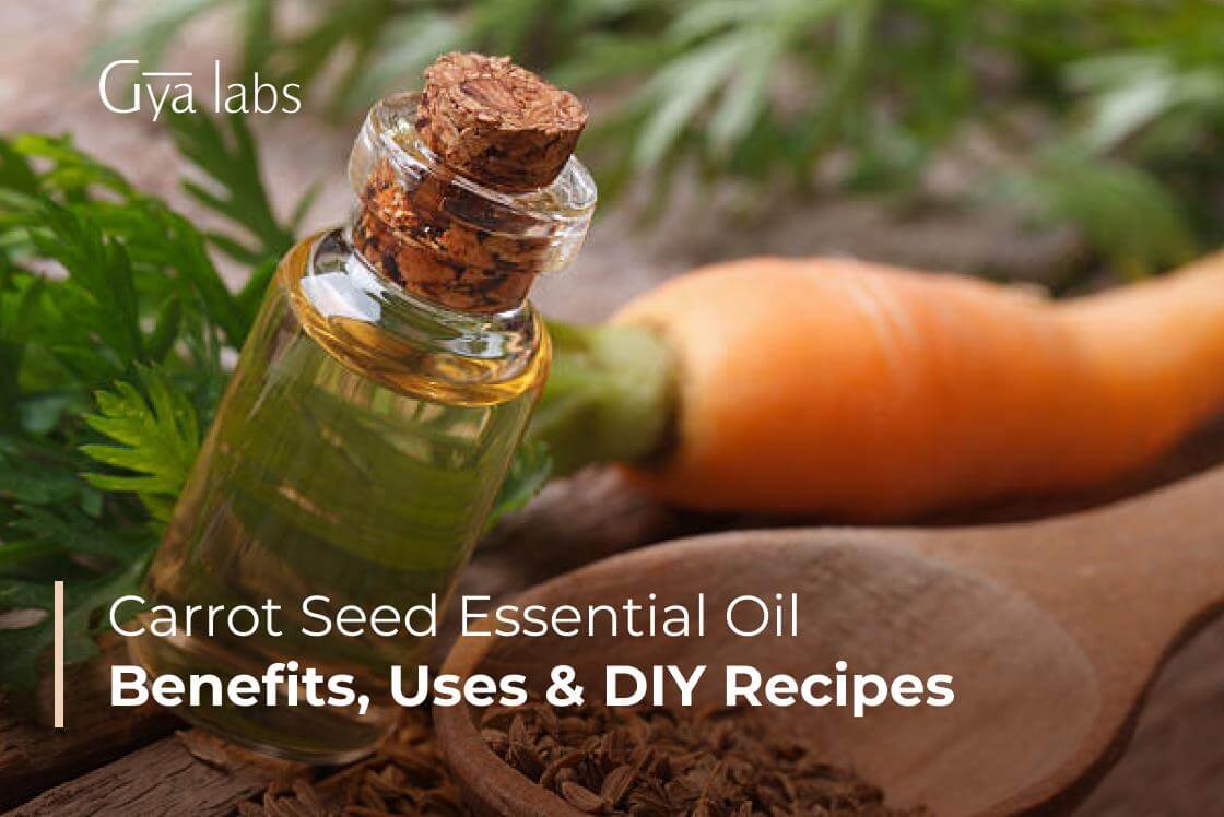 Benefits Of Carrot Seed Essential Oil, Ways To Use Carrot Seed Essential Oil, And DIY Recipes