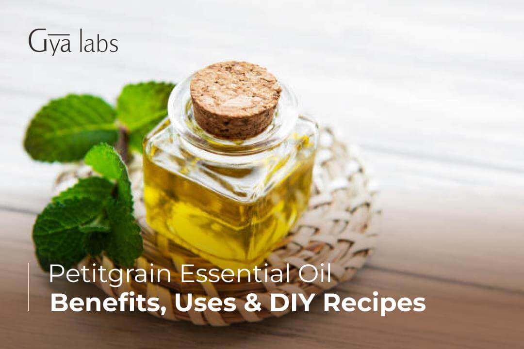 Petitgrain Oil Benefits, Uses and DIY – For Tranquility, Skincare & More | GyaLabs