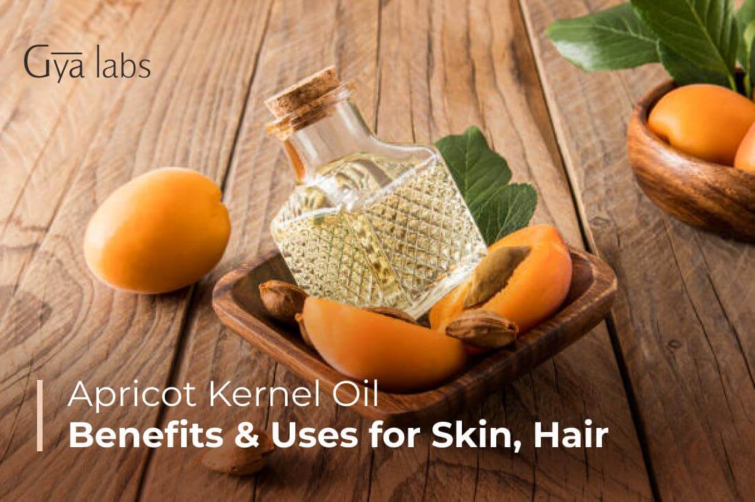 Uses And Benefits Of Apricot Kernel Oil For Skin And Hair | GyaLabs