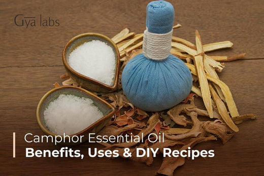 Camphor Essential Oils