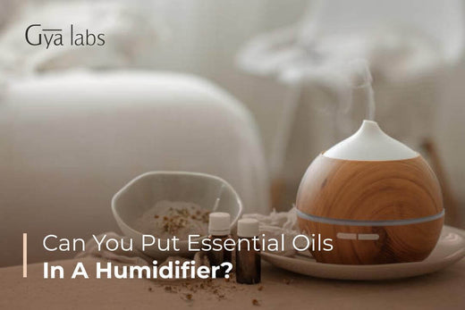 Essential Oils in a Humidifier