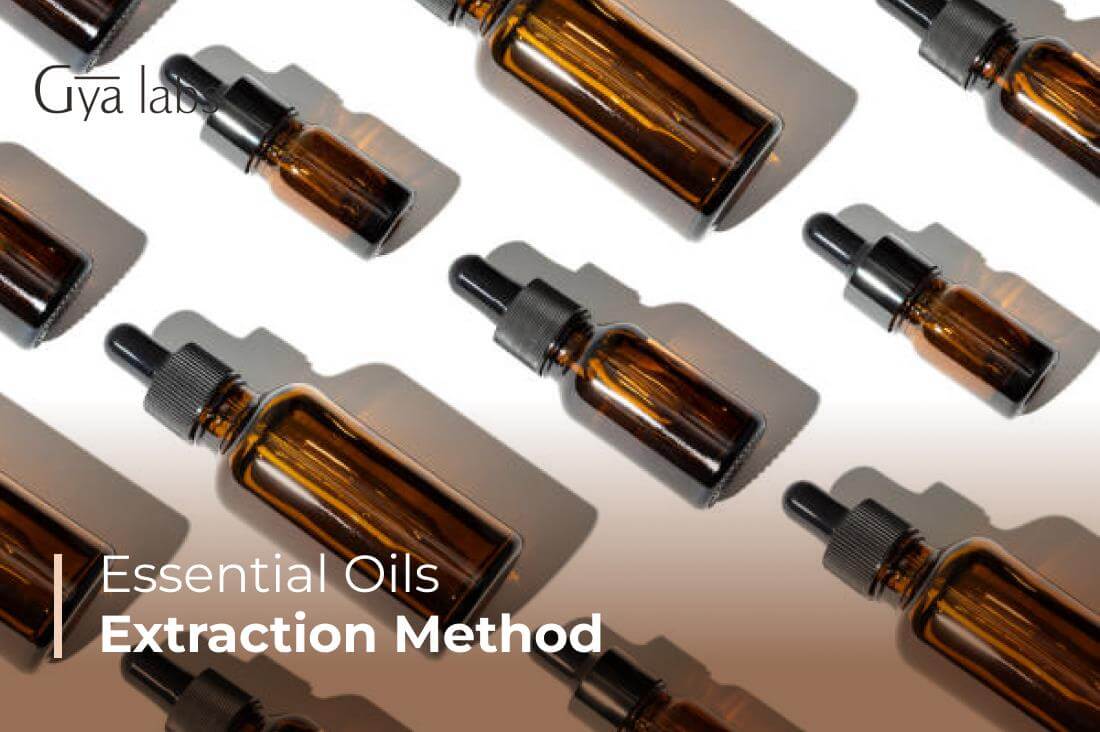 Complete Guide to Essential Oil Extraction Methods | GyaLabs
