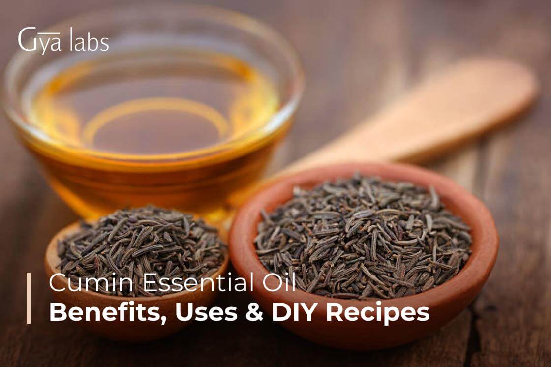 Benefits Of Cumin Essential Oil, How To Use Cumin Essential Oil And DIY Recipes | GyaLabs