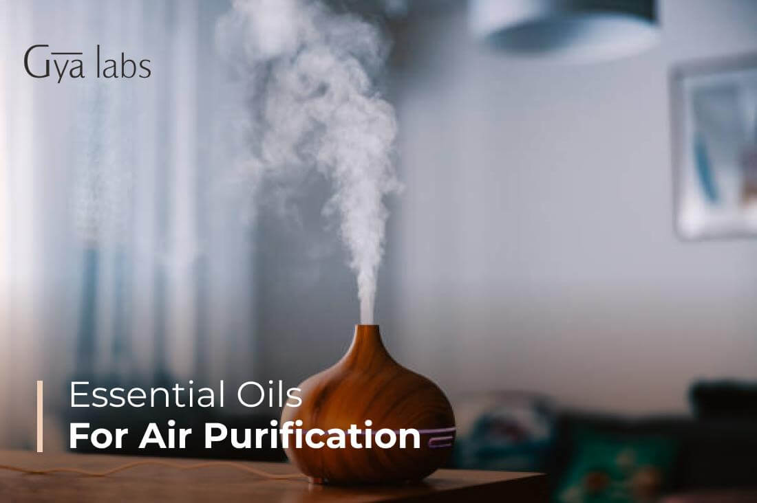 Best Essential Oils For Air Purification & How To Use Essential Oils To Purify The Air | GyaLabs