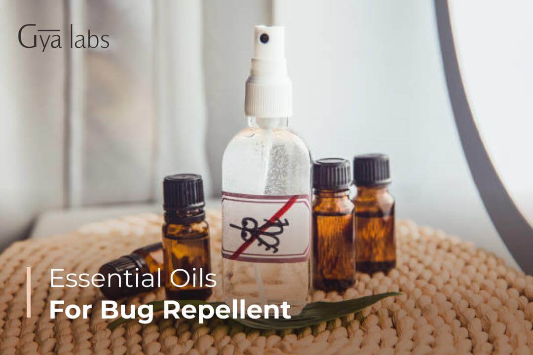 Essential Oil Bug Repellent | Natural Bug Repellent | GyaLabs