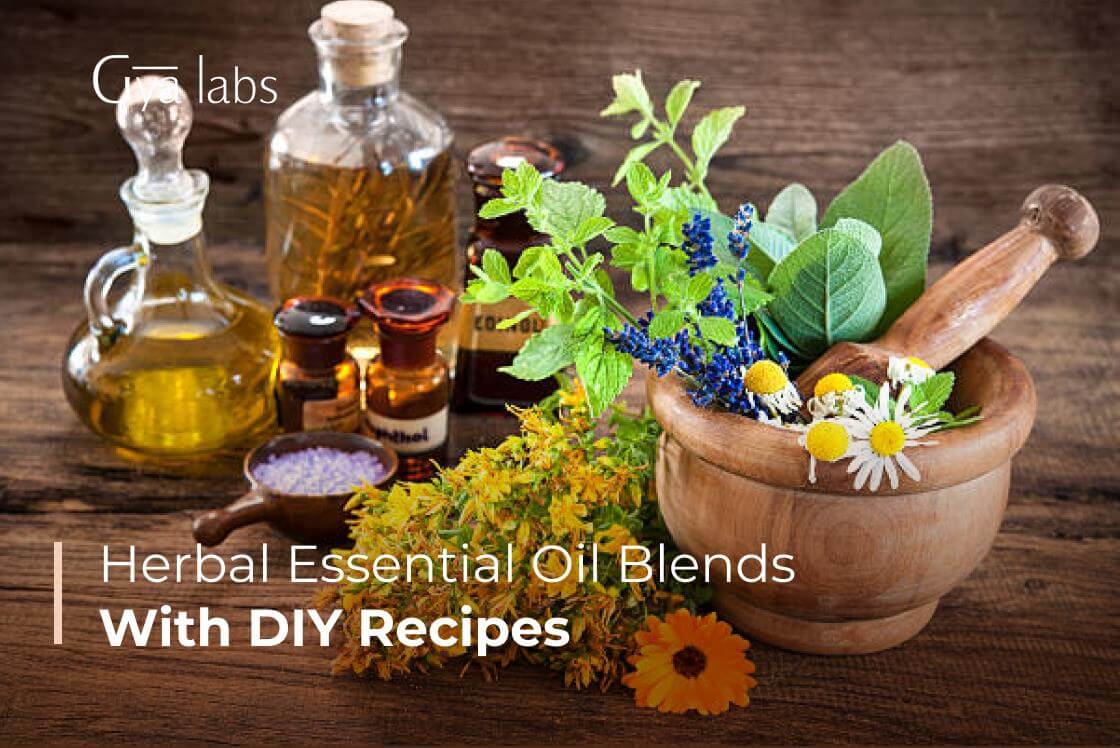 Herbal Essential Oil Blend: Organic Herb Blends for Various Uses and Benefits | GyaLabs