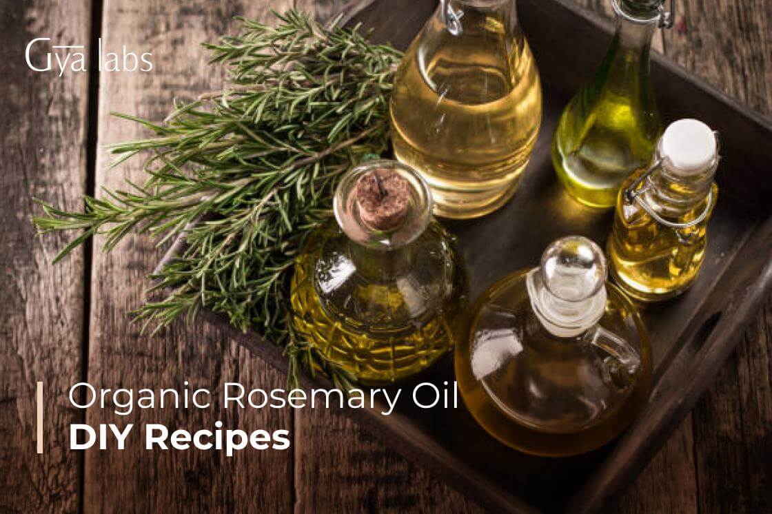 Recipes Of Organic Rosemary Oil – A Comprehensive Guide With Over 20 DIY Recipes | GyaLabs