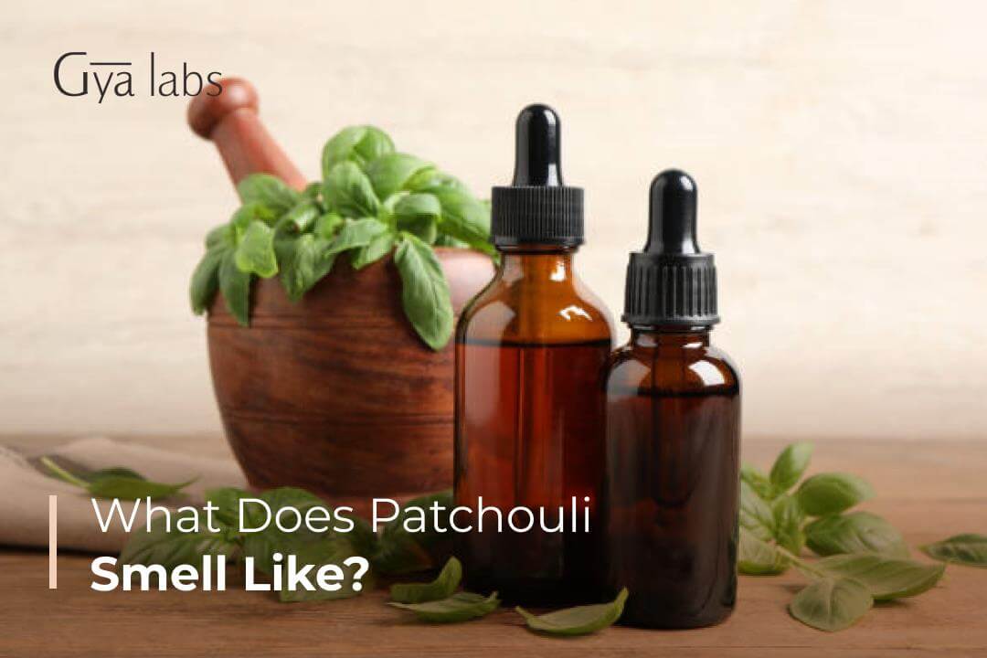 What Does Patchouli Smell Like? | Learn More About Patchouli Oil, Its Scent & Various Uses