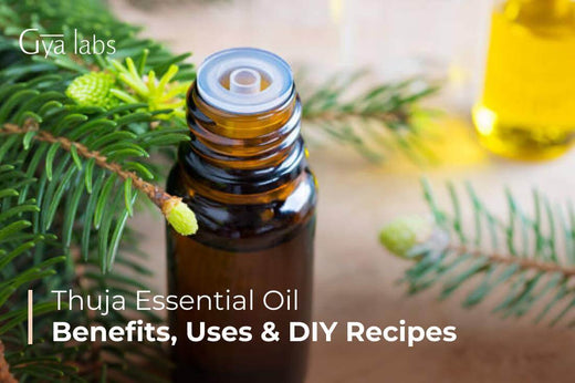 Thuja Essential Oils