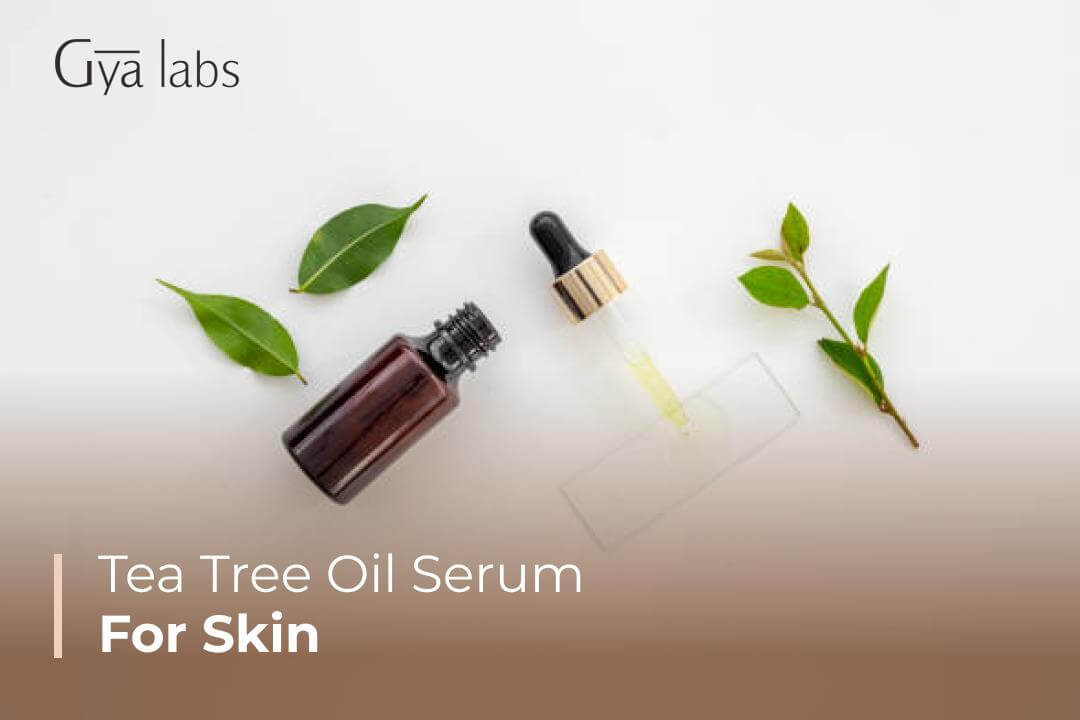 Tea Tree Oil Serum Benefits For The Skin | GyaLabs