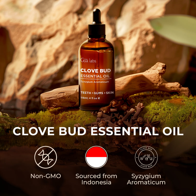 Clove Bud Essential Oil with Aromatherapy Stone