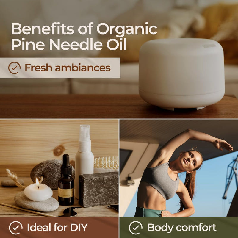 Organic Pine Needle Essential Oil 0.34 Fl Oz