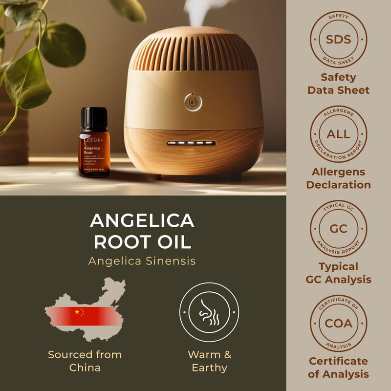 Angelica Root Essential Oil 0.34 Fl Oz