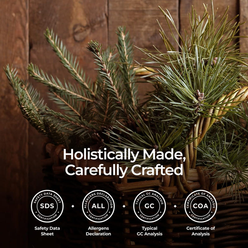 Organic Pine Needle Essential Oil 0.34 Fl Oz