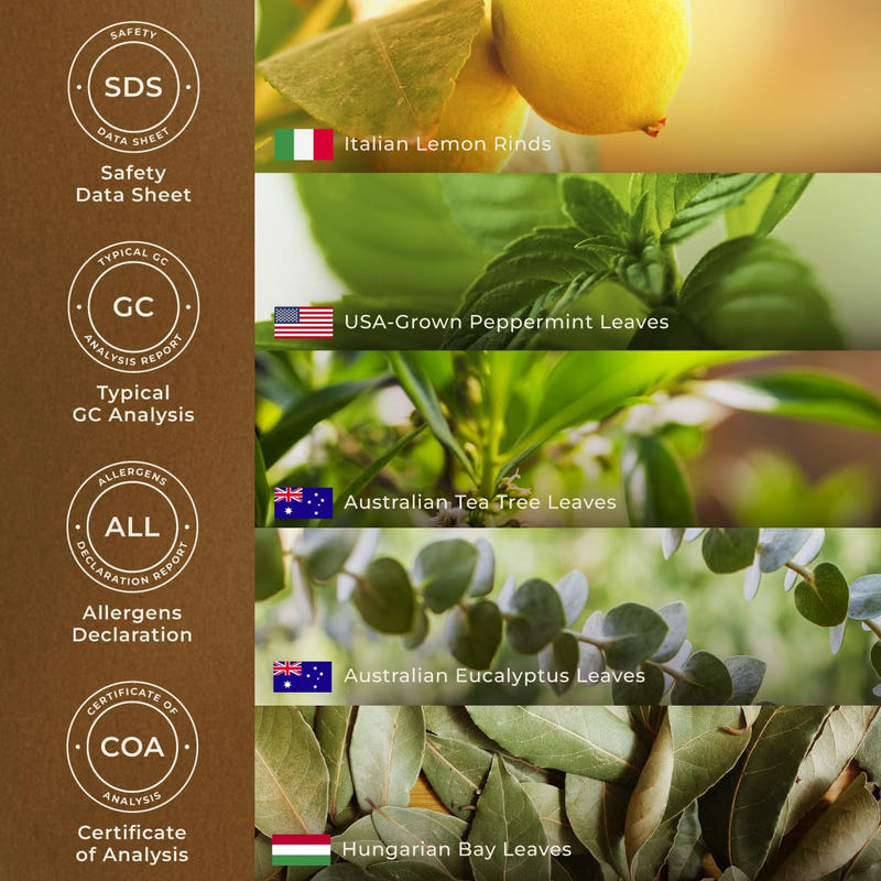 Breathe Essential Oil Blends 0.34 Fl Oz