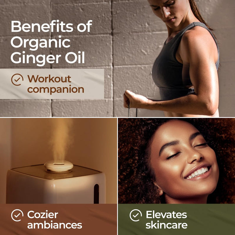 Organic Ginger Essential Oil 0.34 Fl Oz