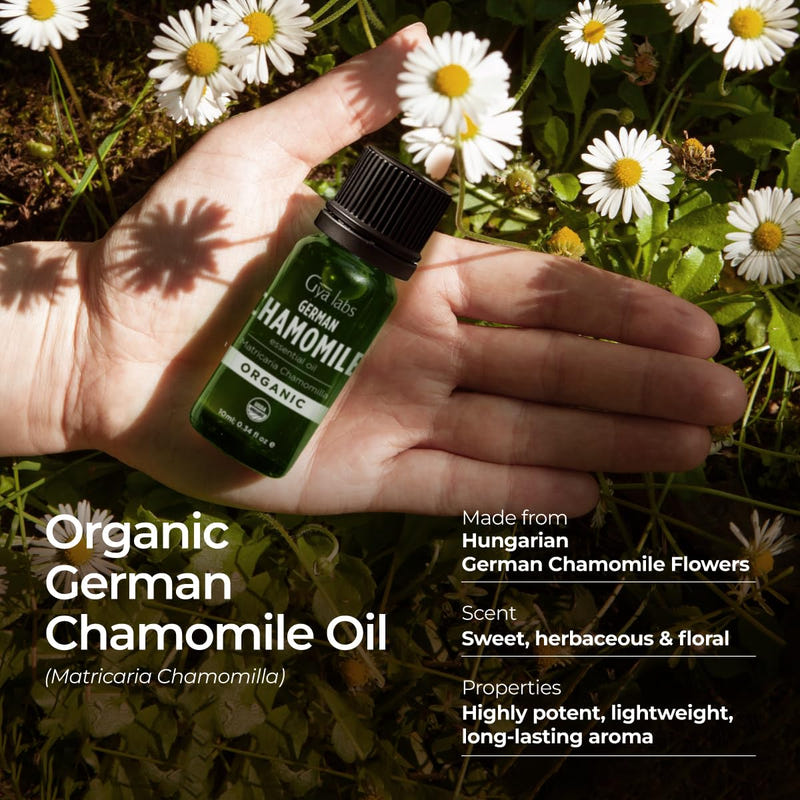 Organic German Chamomile Essential Oil 0.34 Fl Oz