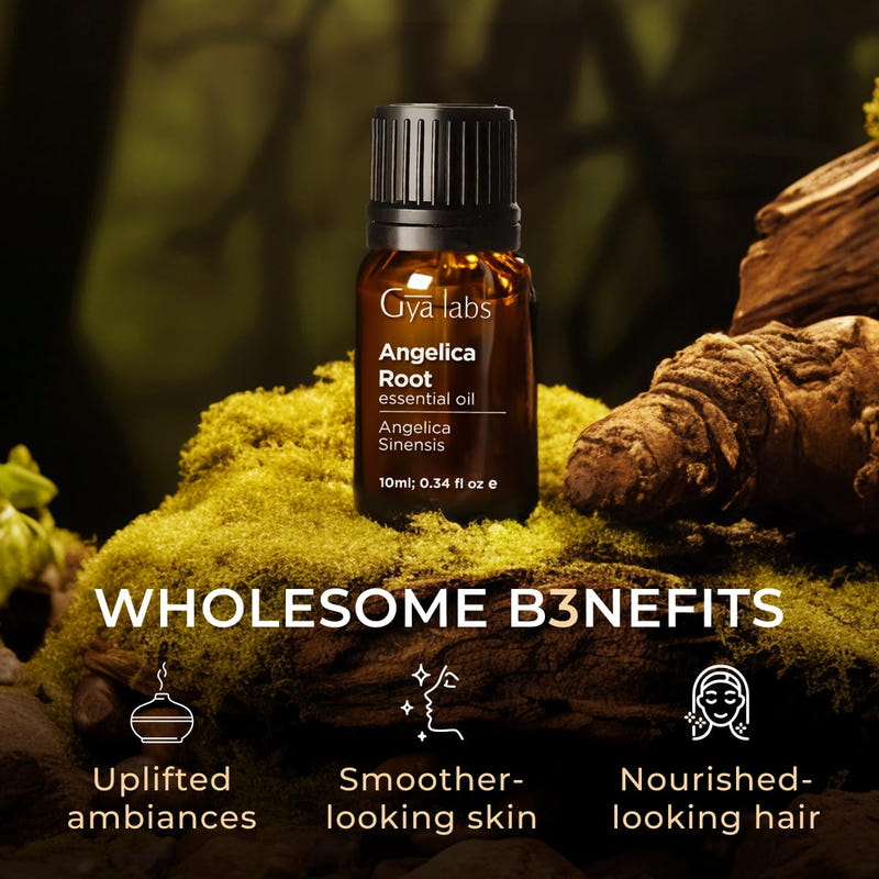 Angelica Root Essential Oil 0.34 Fl Oz