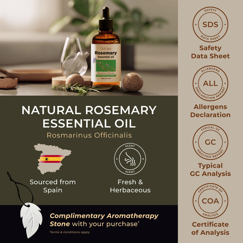 Rosemary Essential Oil with Aromatherapy Stone 4 Fl Oz