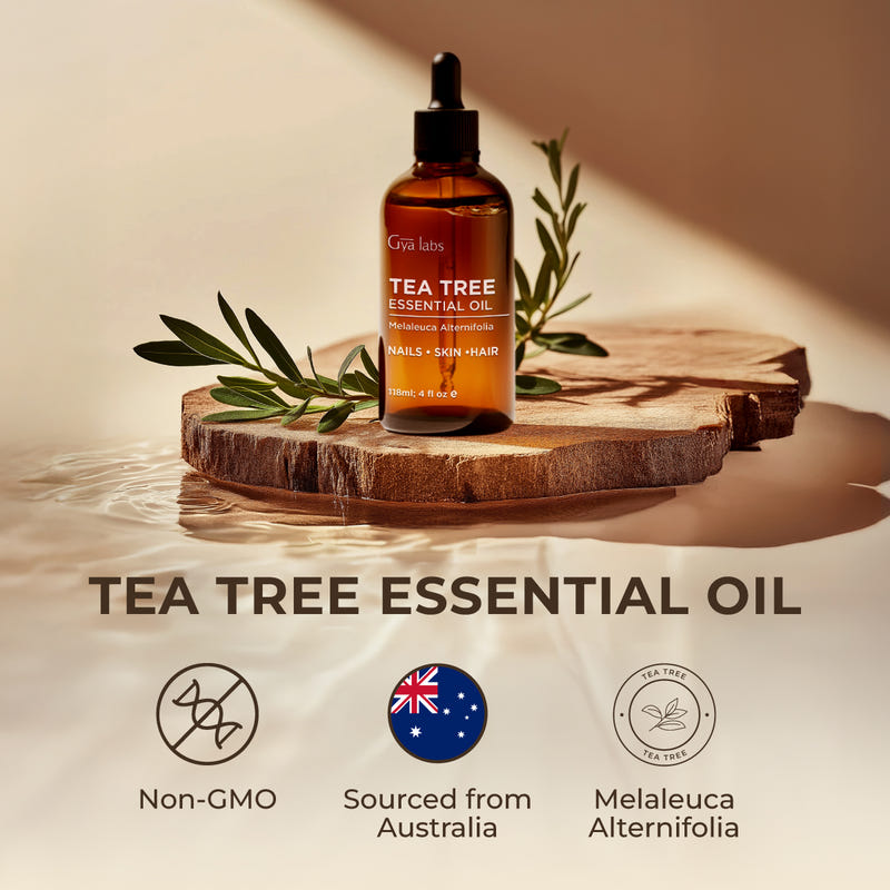 Tea Tree Essential Oil with Aromatherapy Stone 4 Fl Oz
