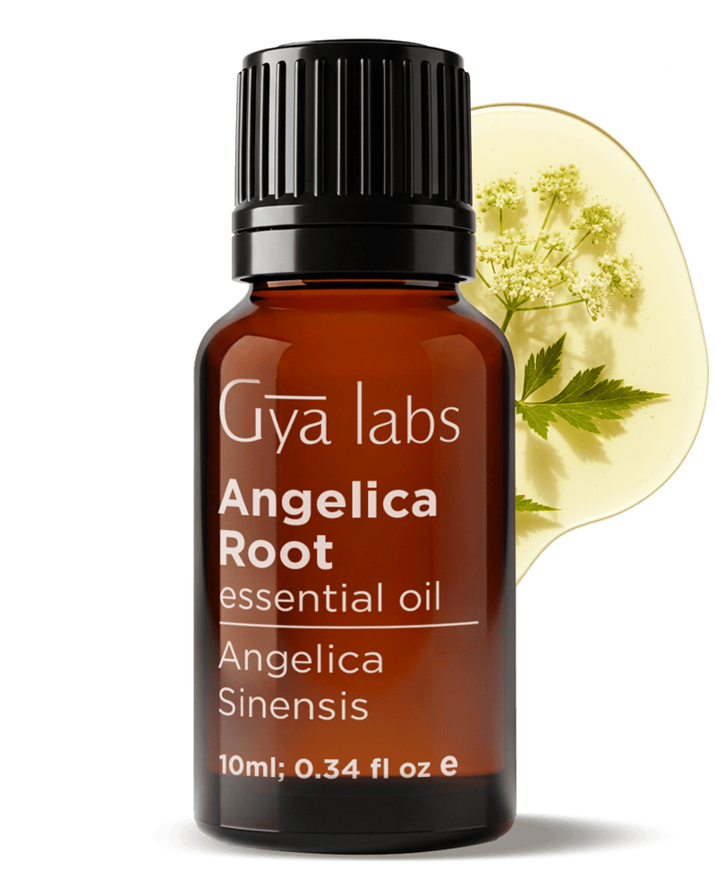 Angelica Root Oil | GyaLabs