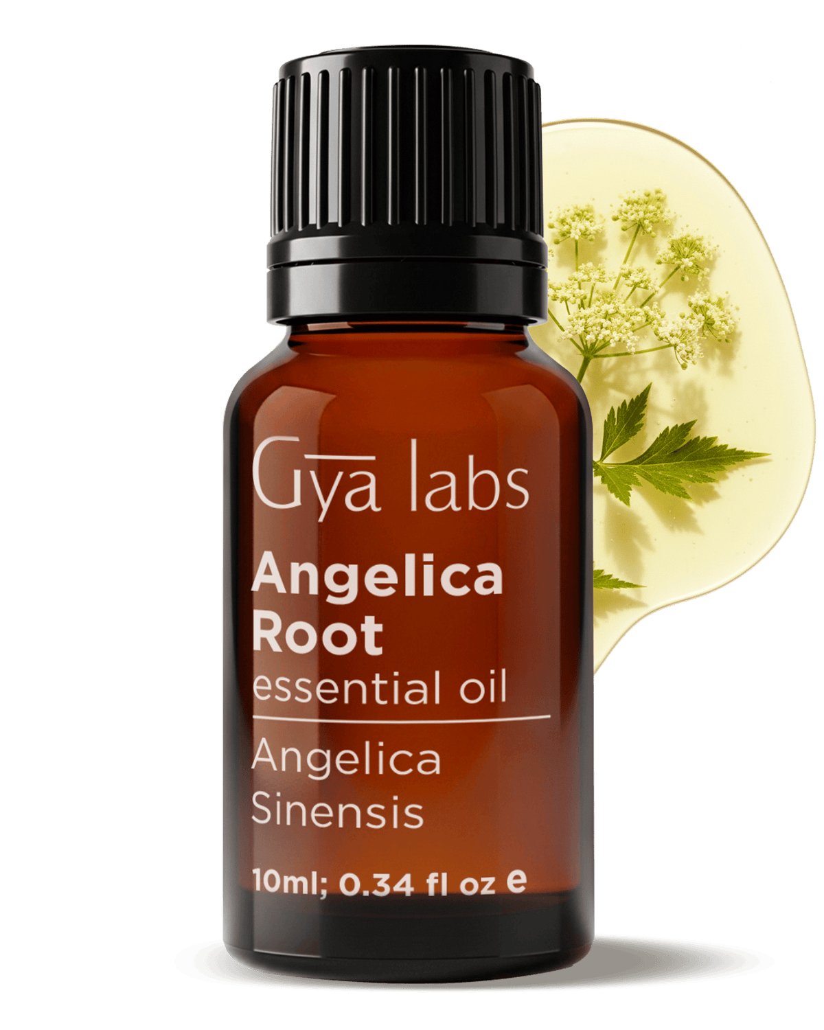 Angelica Root Oil | GyaLabs