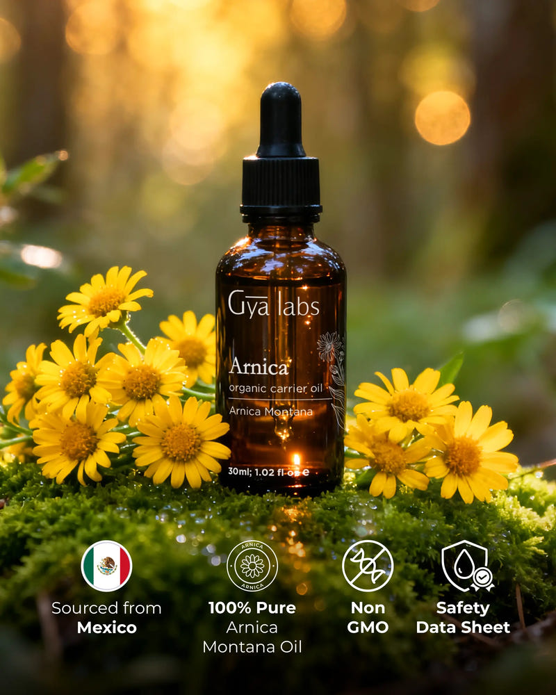 Arnica Carrier Oil