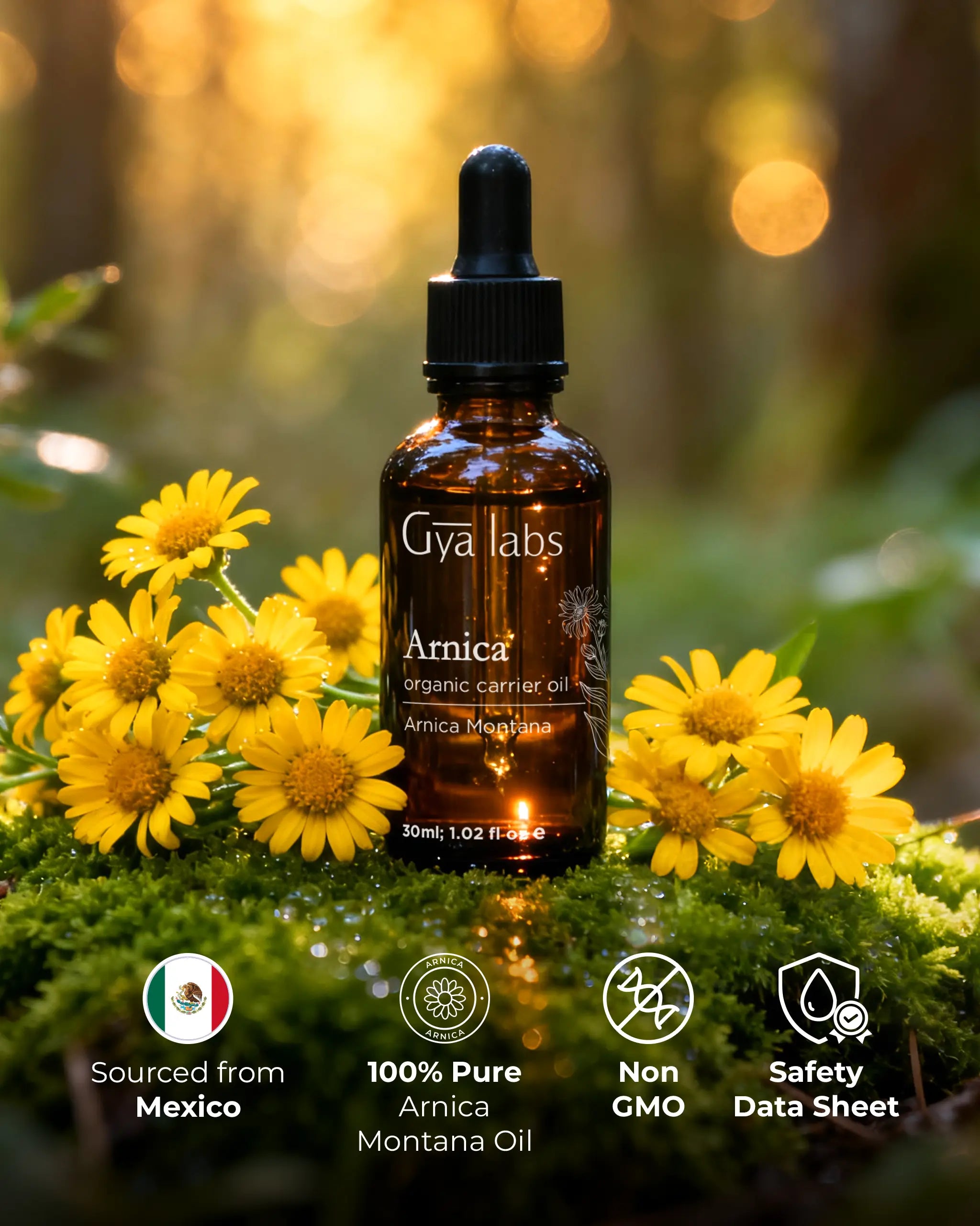 Organic Arnica Oil