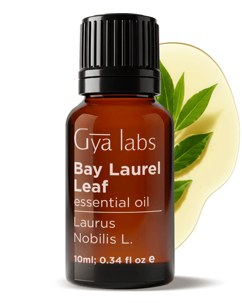 Bay Laurel Leaf Oil | GyaLabs