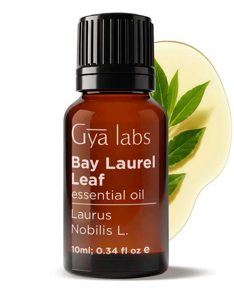 Bay Laurel Leaf Oil | GyaLabs