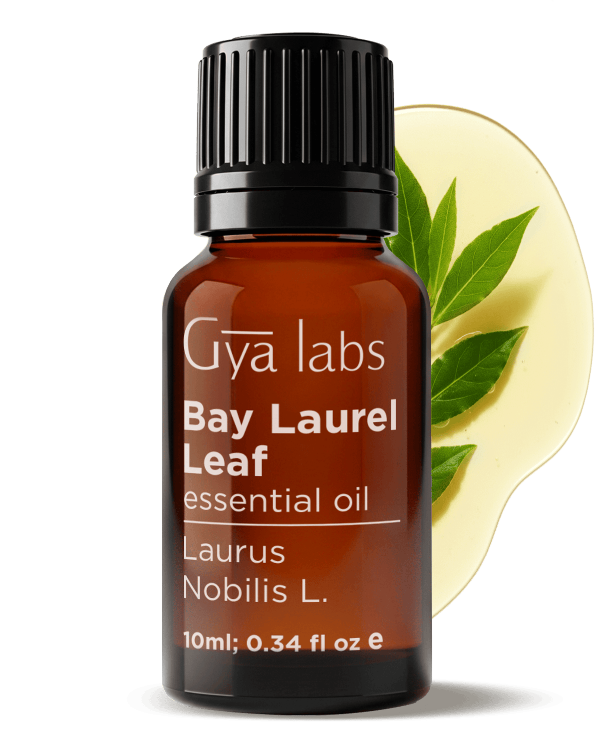 Bay Laurel Leaf Oil | GyaLabs