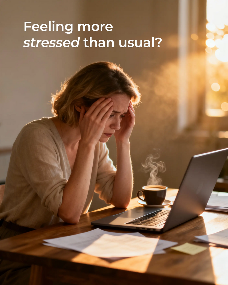 Organic Blue Tansy Oil