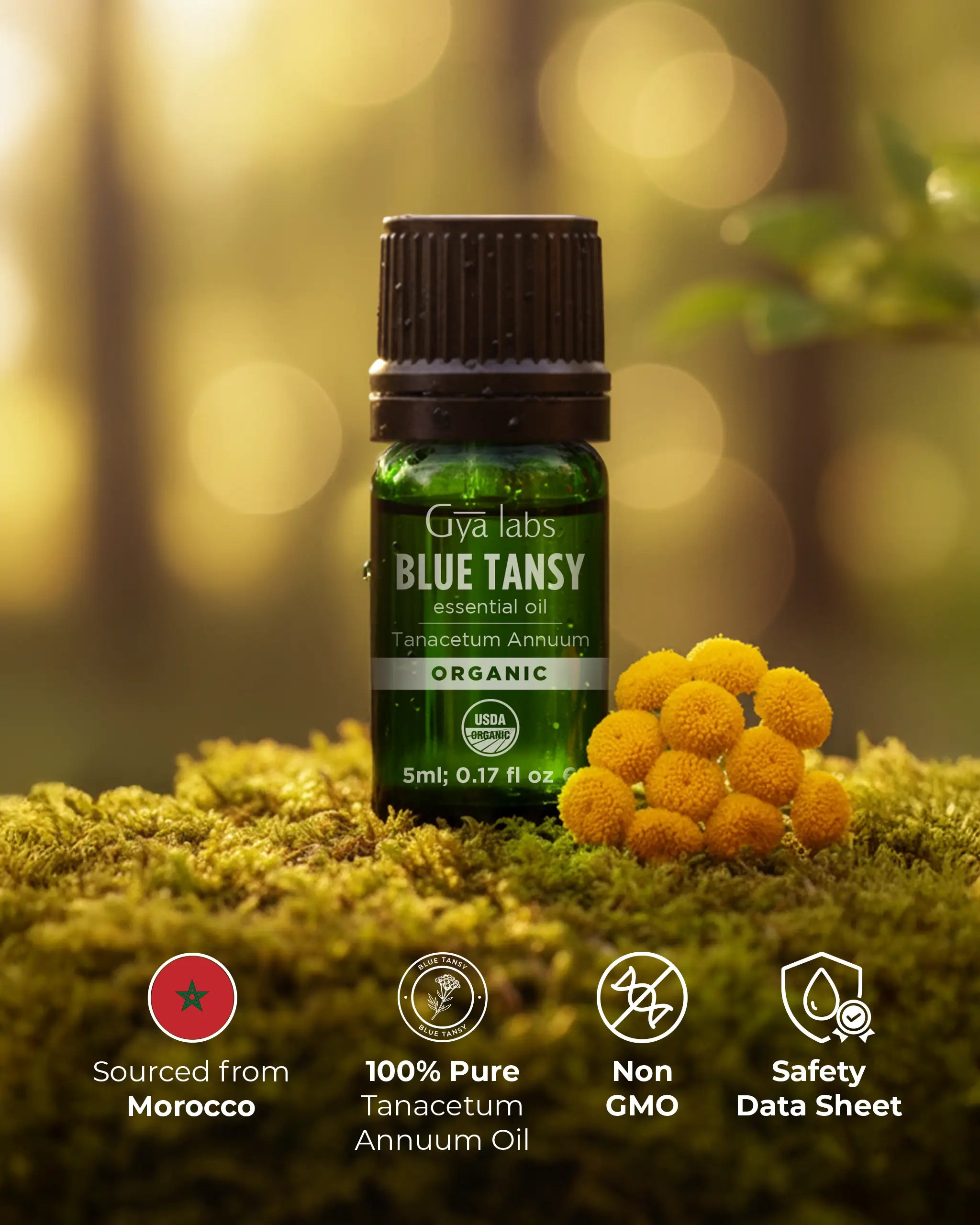 Organic Blue Tansy Oil