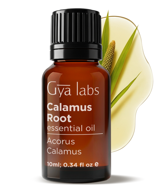 Calamus Root Essential Oil