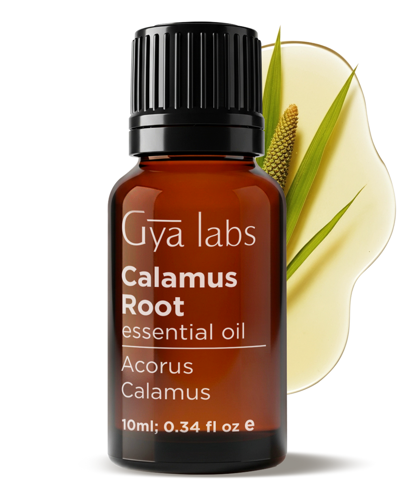 Calamus Root Essential Oil