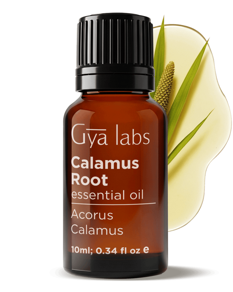 Calamus Root Essential Oil