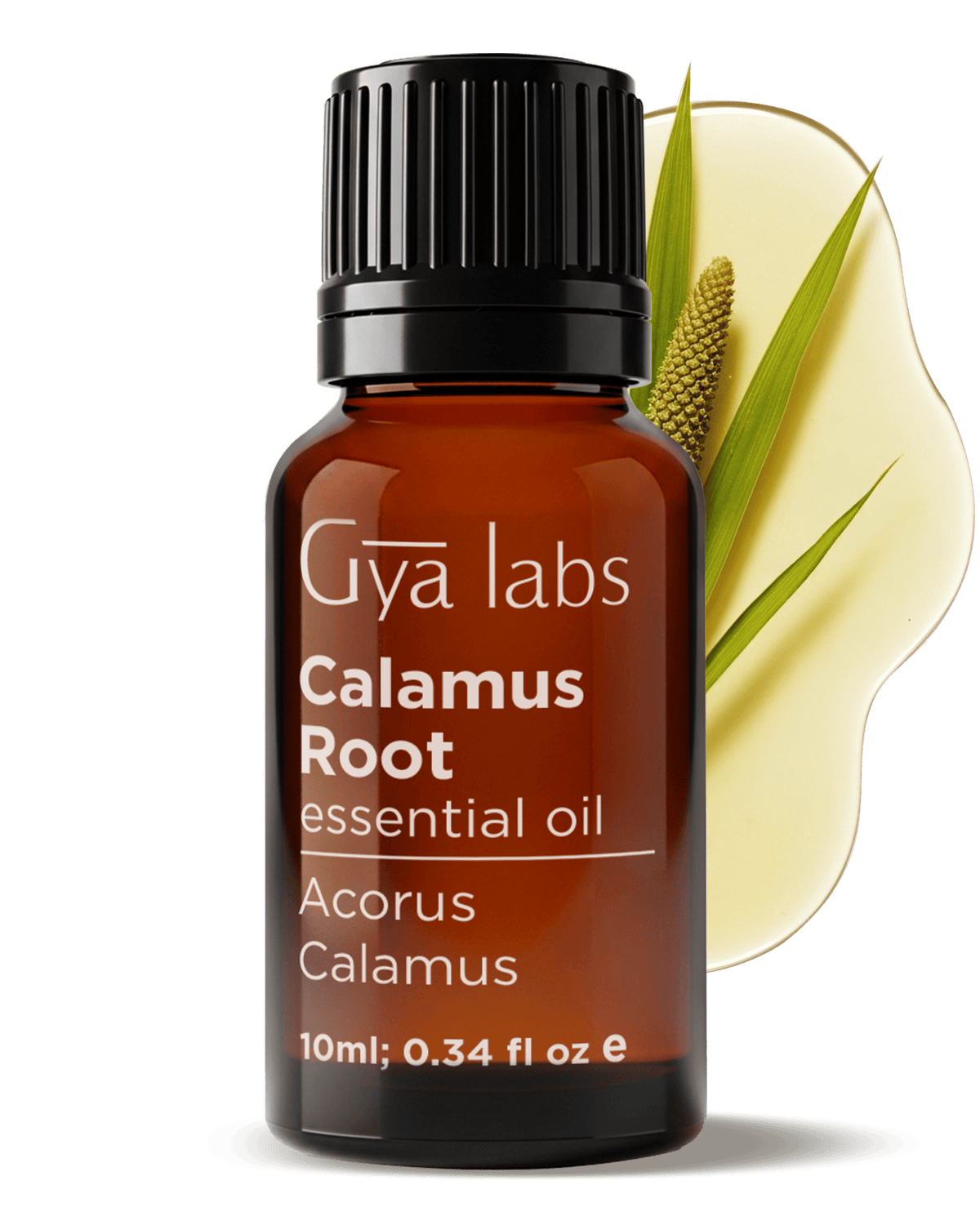Calamus Root Essential Oil