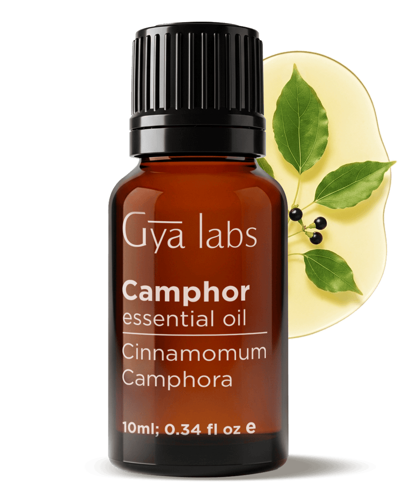 Camphor Essential Oil