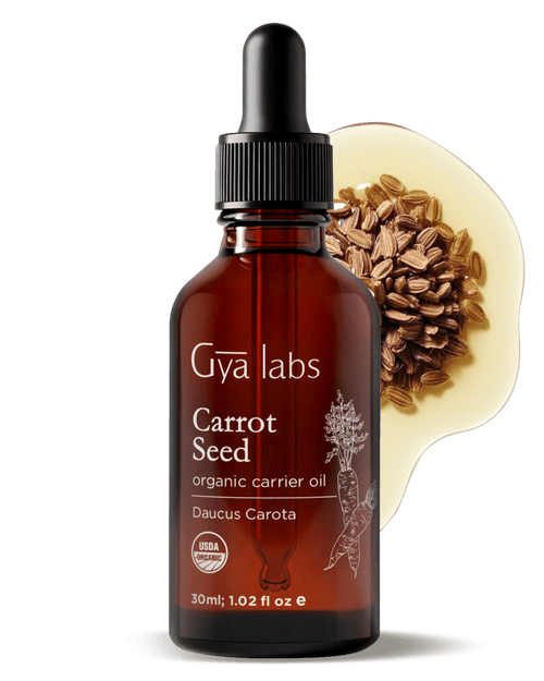 Organic Carrot Seed Oil | GyaLabs
