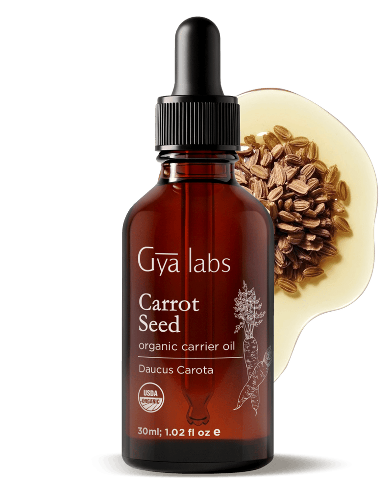 Organic Carrot Seed Oil | GyaLabs