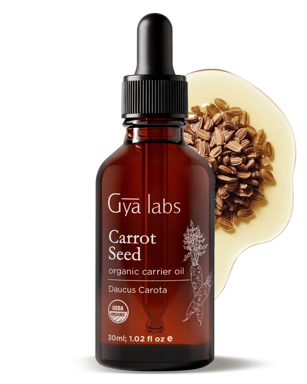 Organic Carrot Seed Oil | GyaLabs
