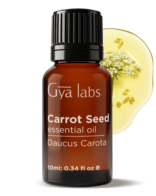 Carrot Seed Essential Oil | GyaLabs