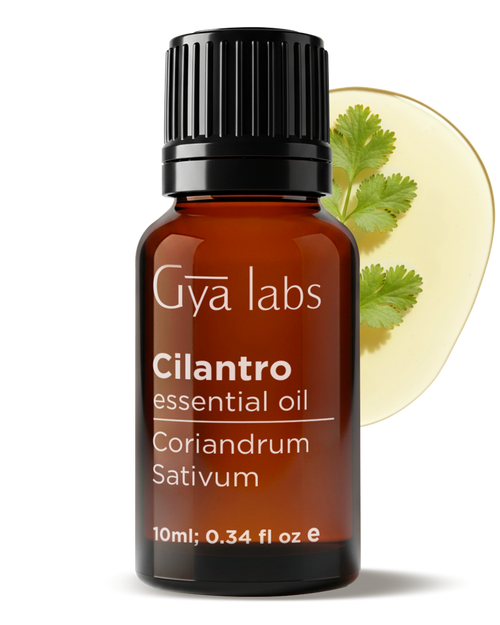 Cilantro Oil