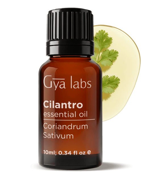 Cilantro Oil | GyaLabs
