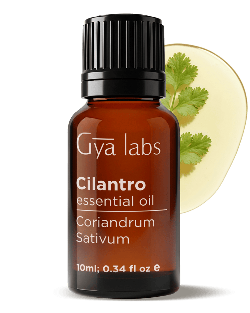 Cilantro Oil | GyaLabs