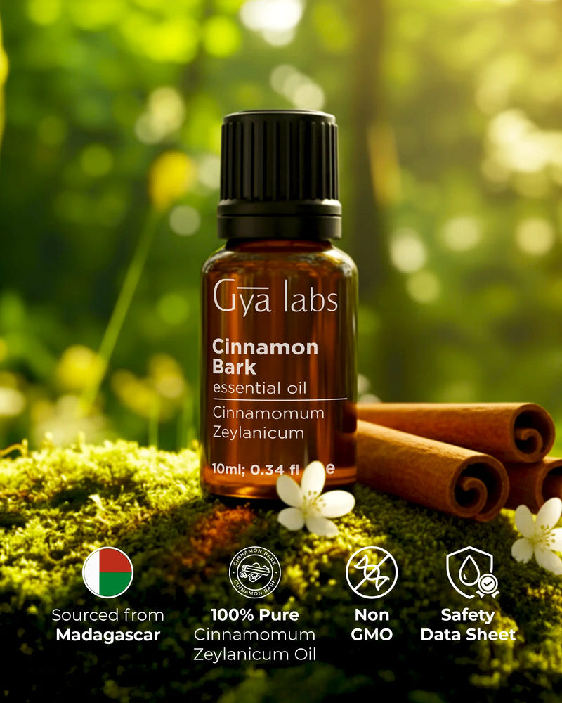 Cinnamon Bark essential oil bottle with cinnamon sticks